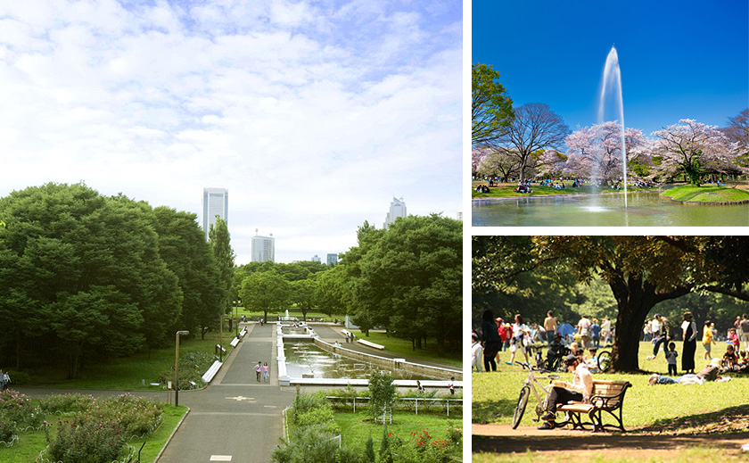 東京都立代々木公園イメージ