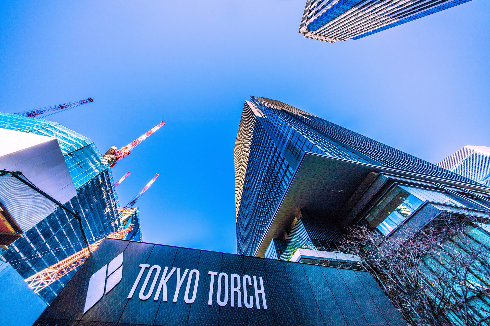 TOKYO TORCHイメージ