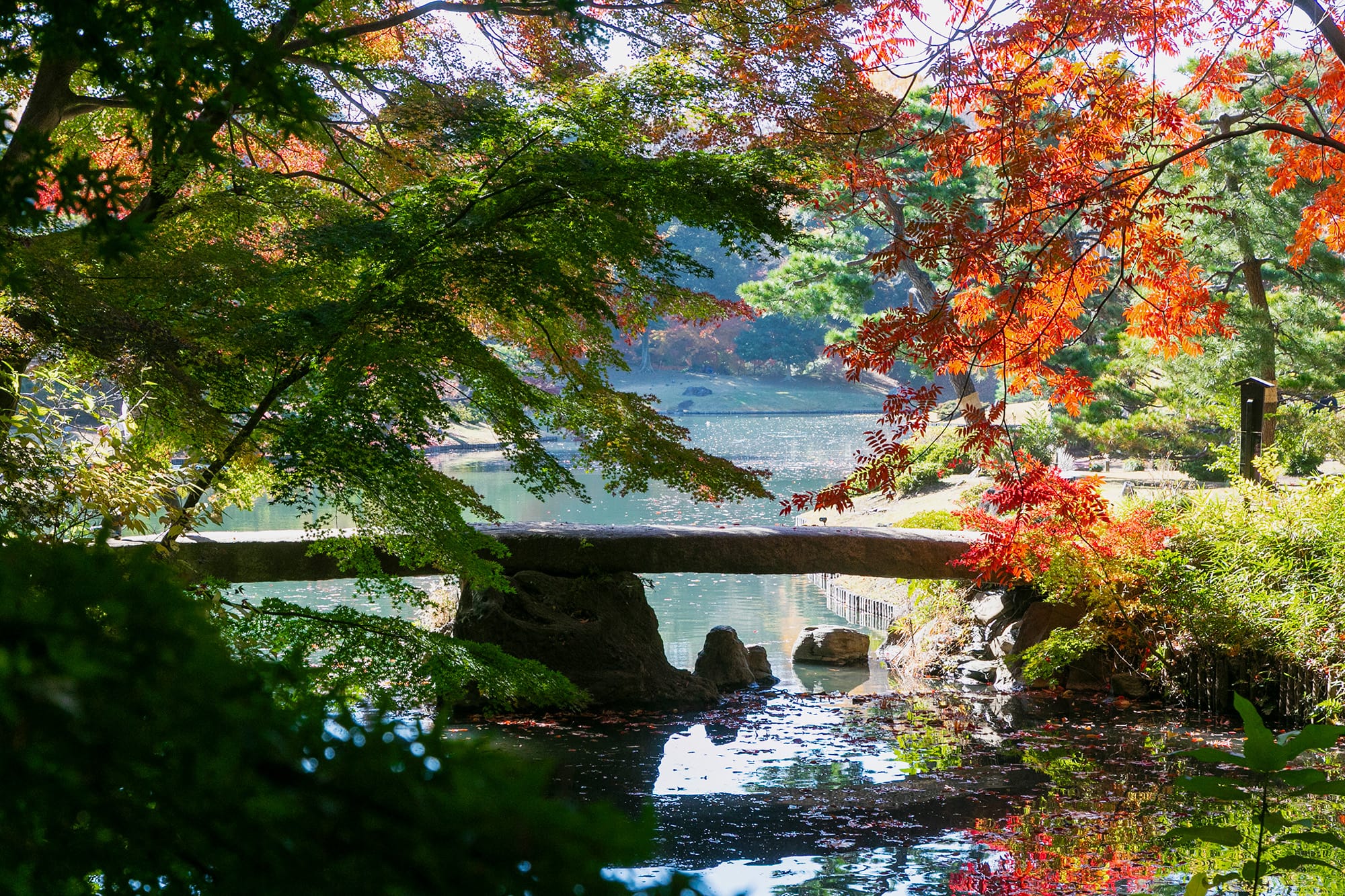 六義園イメージ