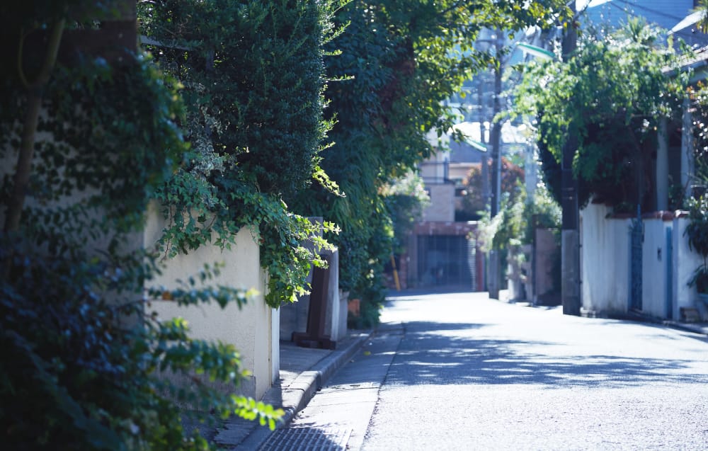 現地周辺の街並み（約360m・徒歩5分）