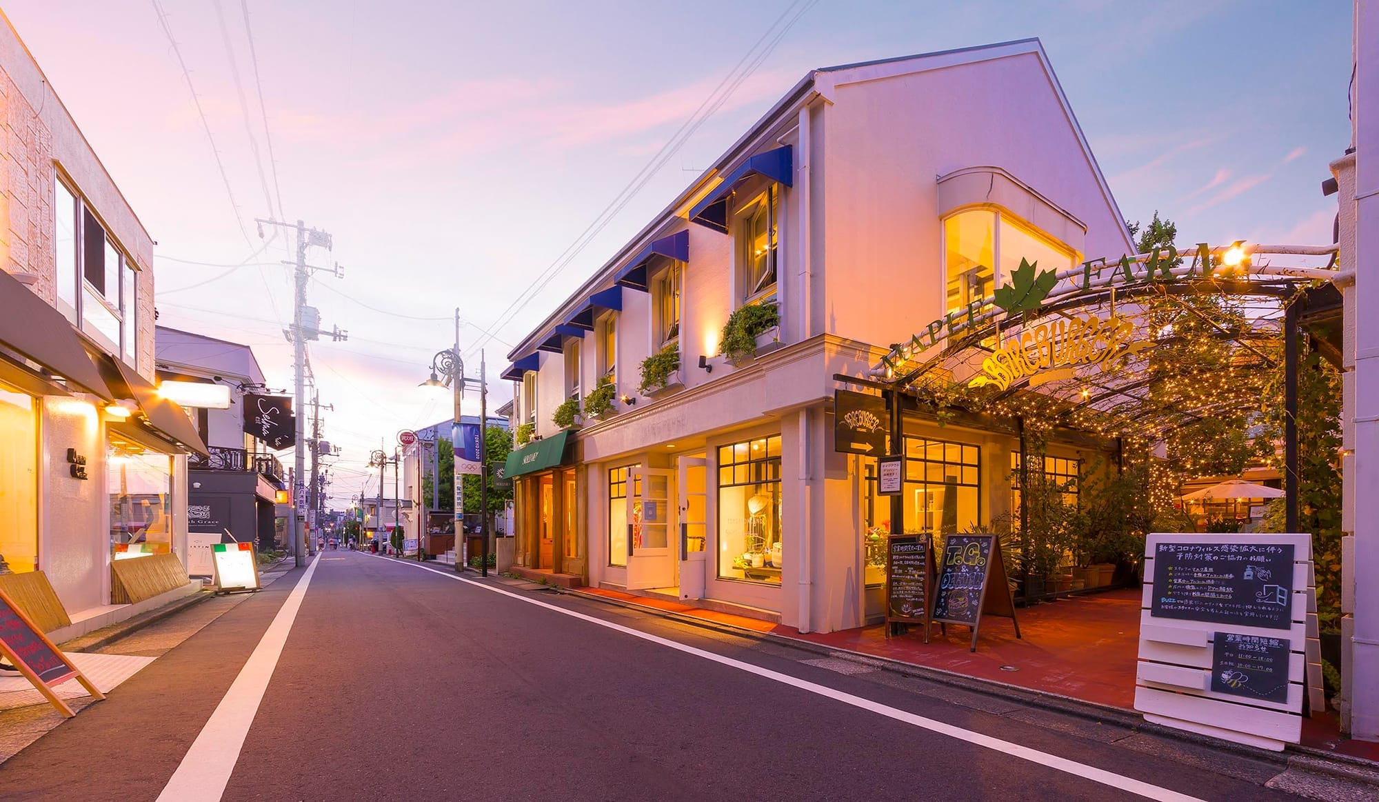 ディアナコート自由が丘翠景