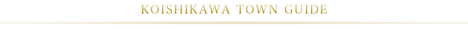 ^EKCh