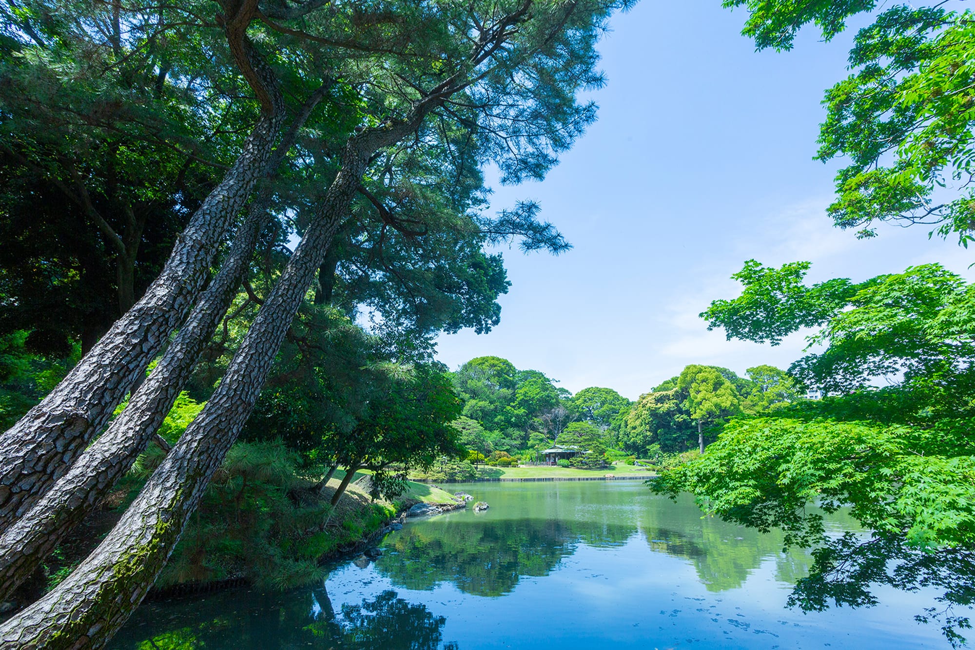 六義園