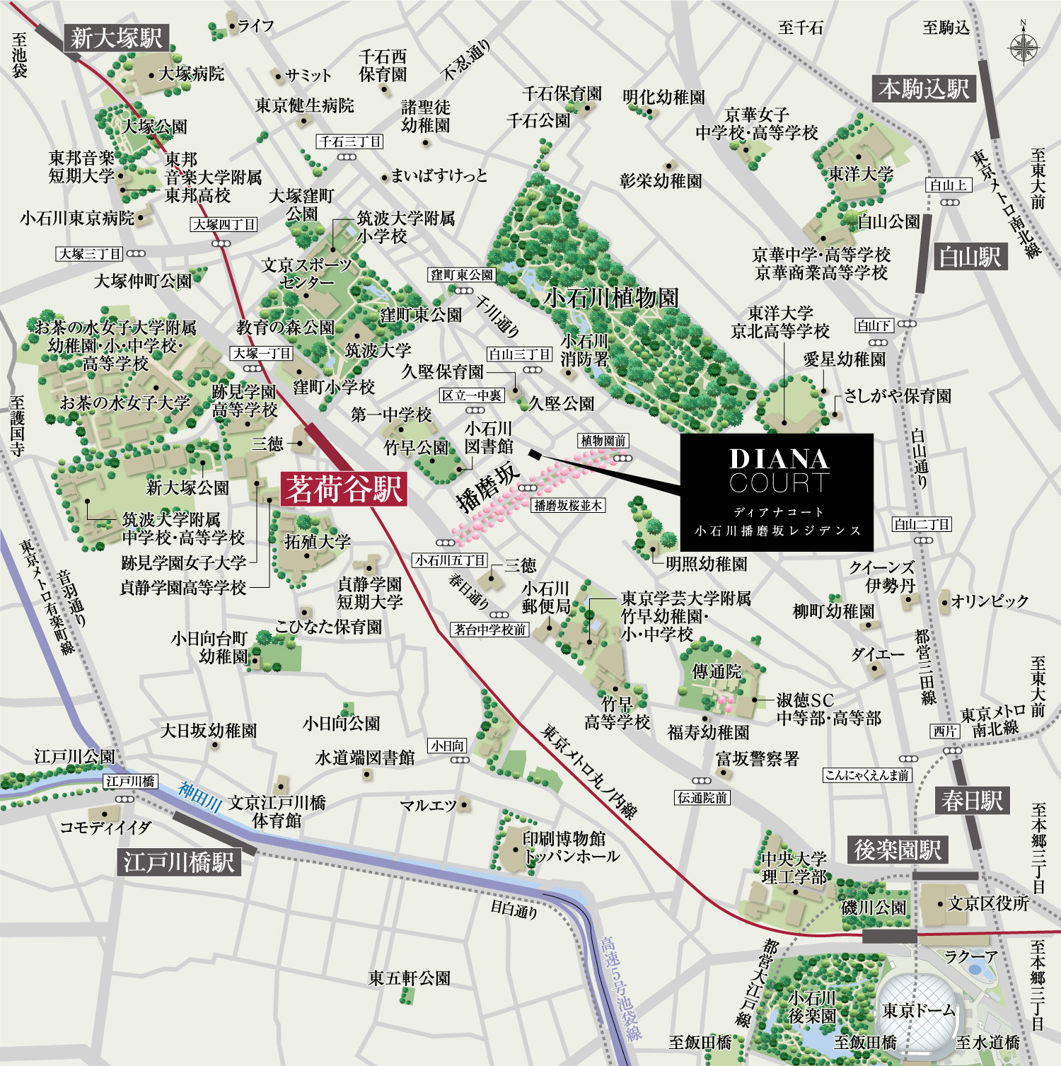 現地案内図