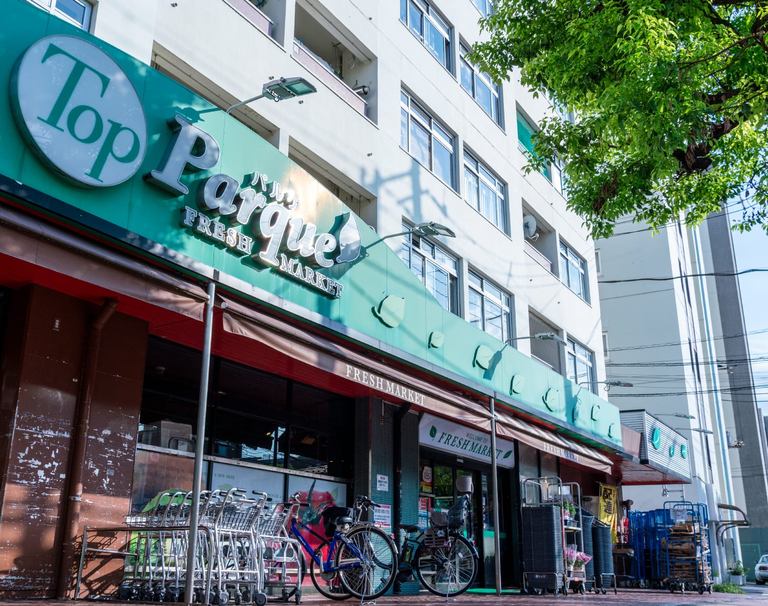 トップパルケ鹿島店（約310m・徒歩4分）