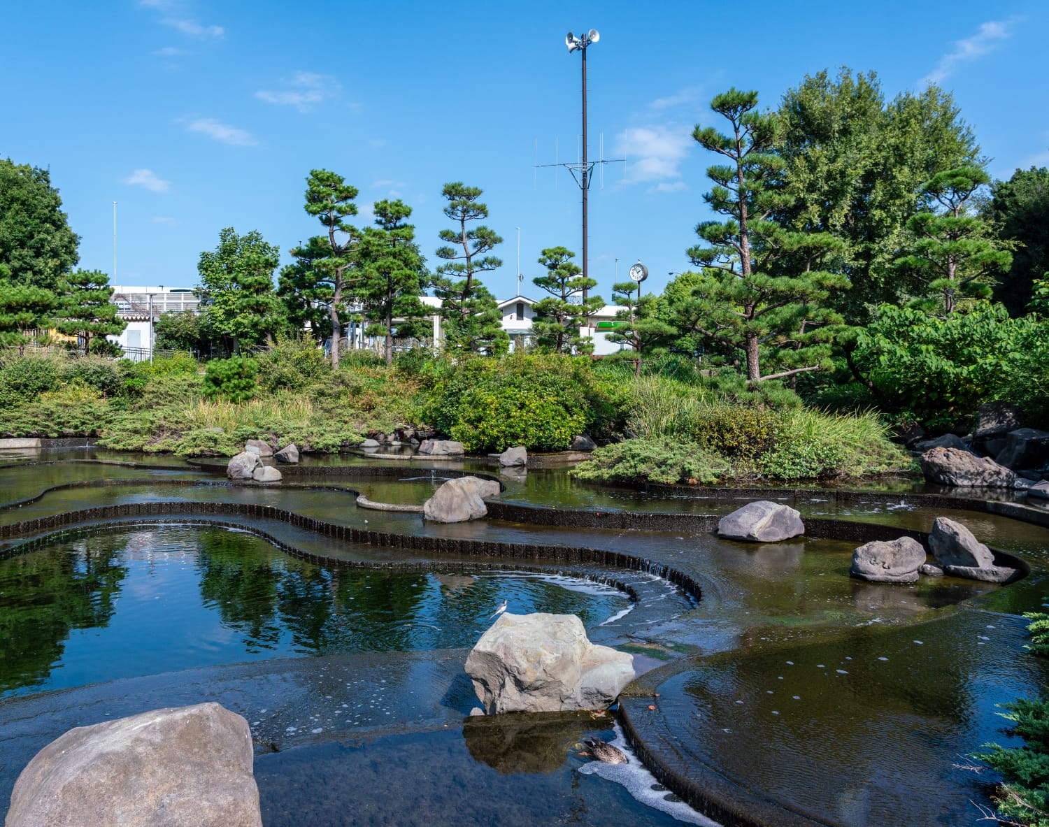 しながわ区民公園（約970m・徒歩13分）