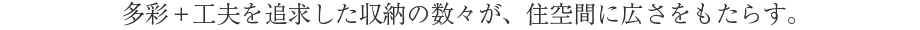 ʁ{Hvǋ[̐XAZԂɍL炷B