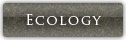 ECOLOGY
