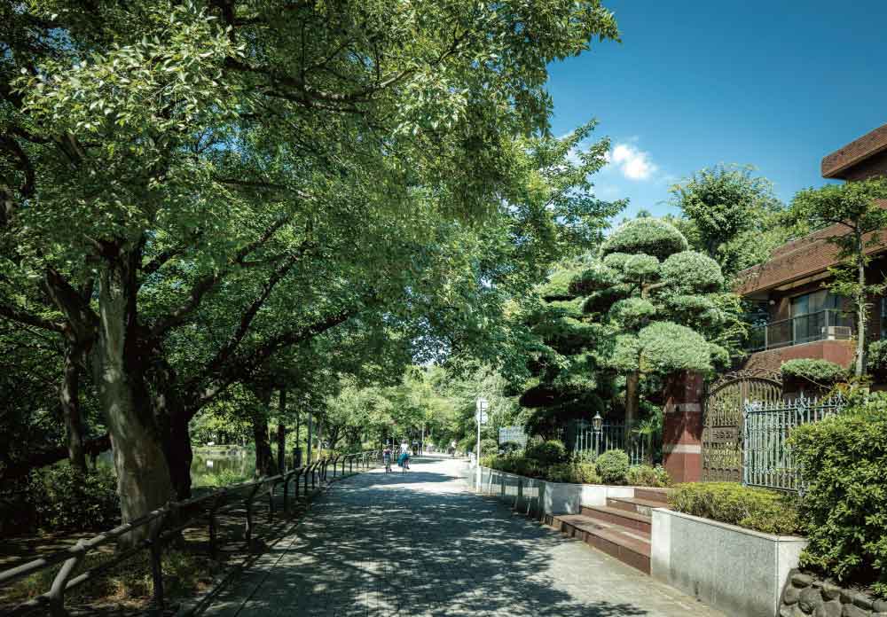 石神井公園付近の街並み