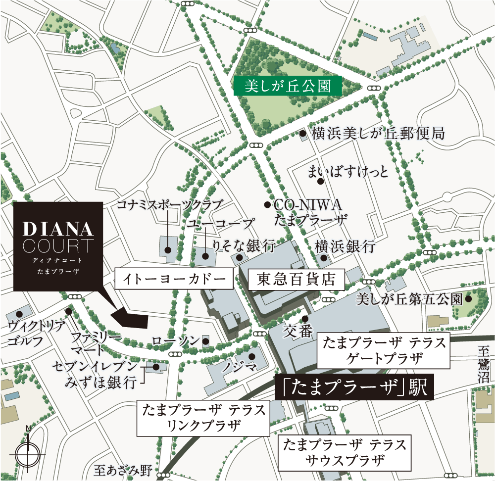現地案内図