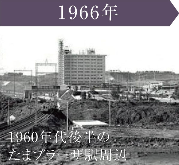 1966年