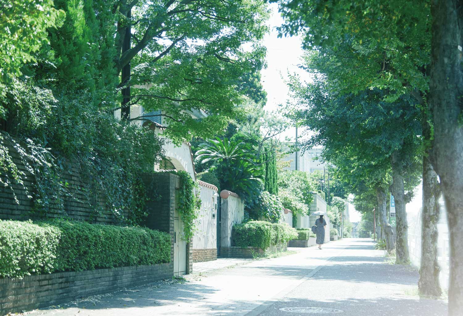 現地周辺の街並み（約300m・徒歩5分）