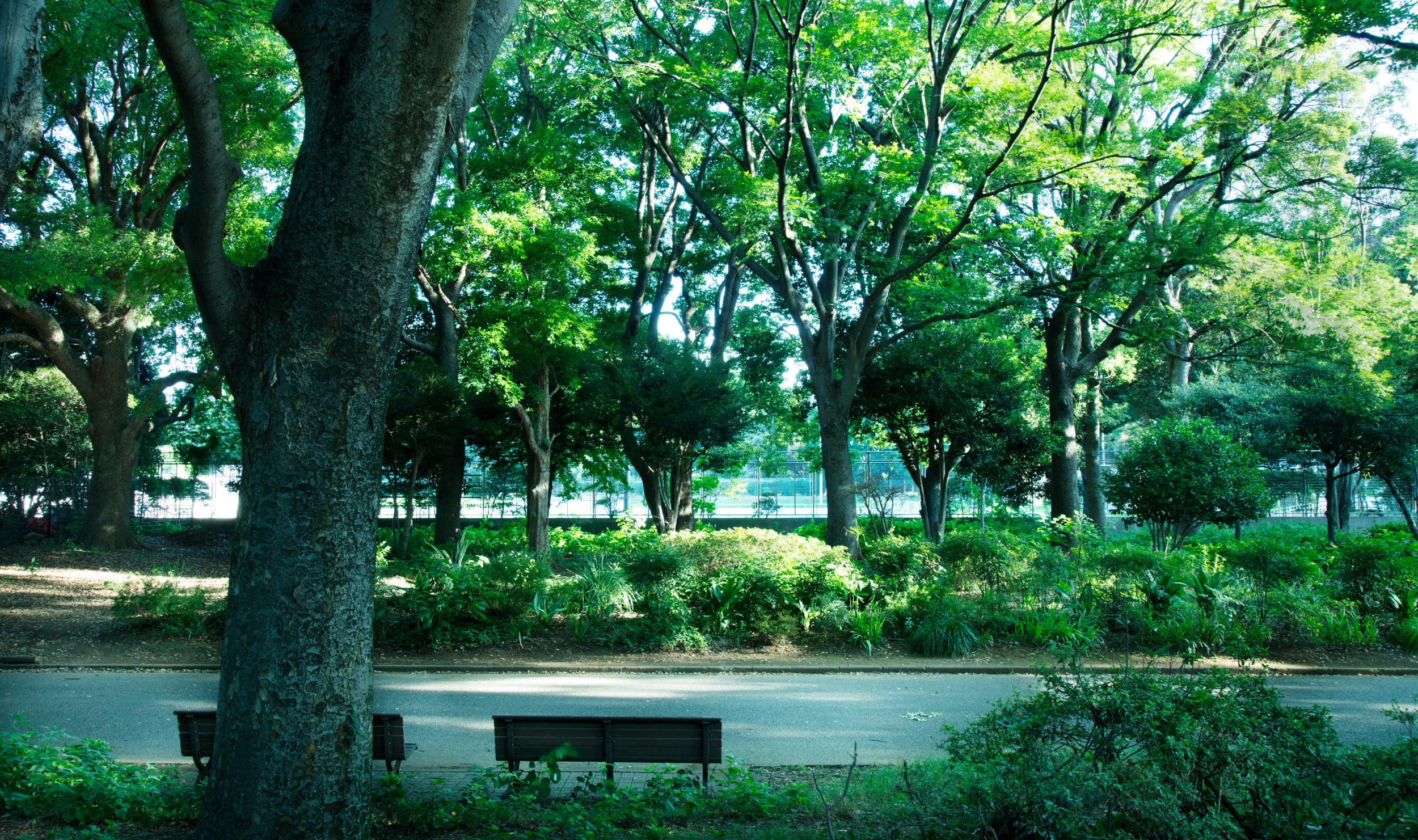 駒沢オリンピック公園（約790ｍ/徒歩10分）