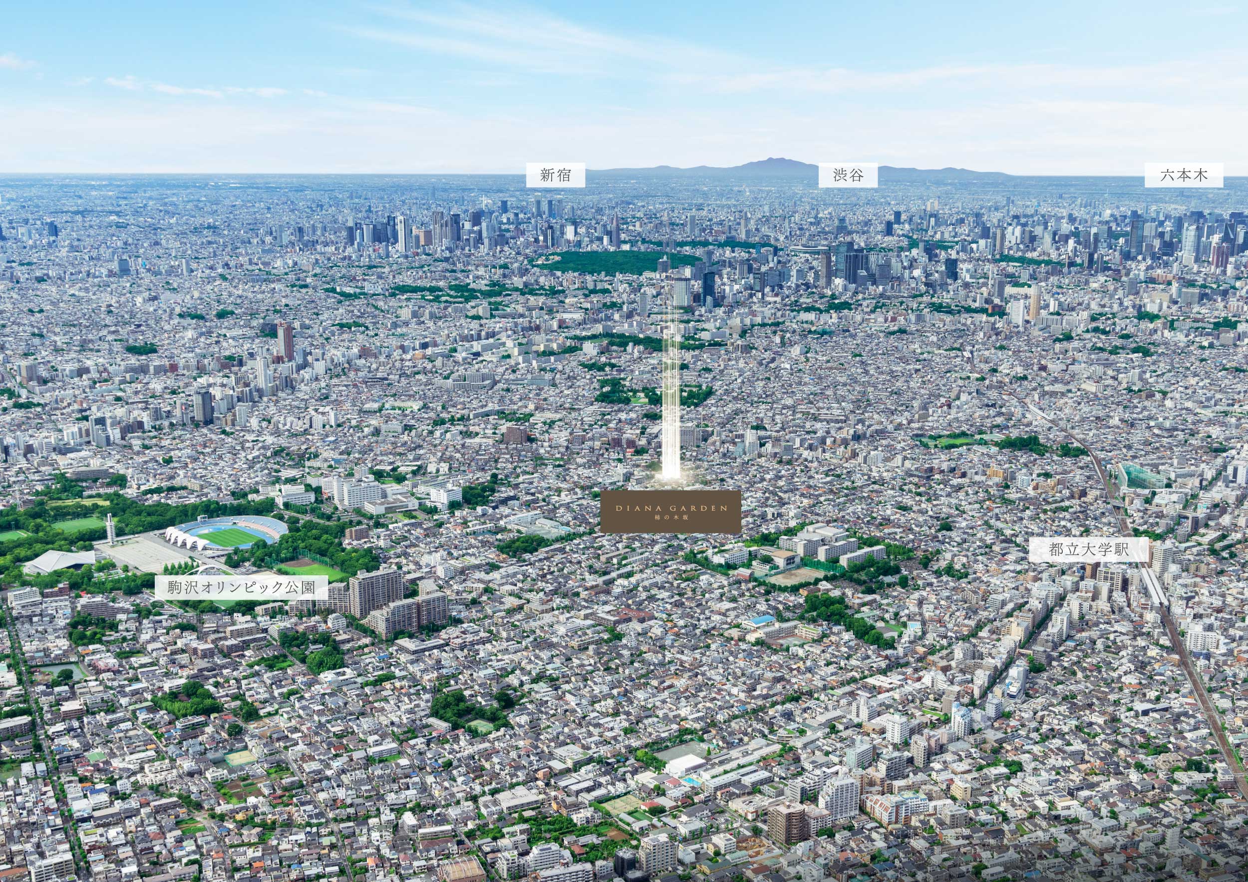 航空写真