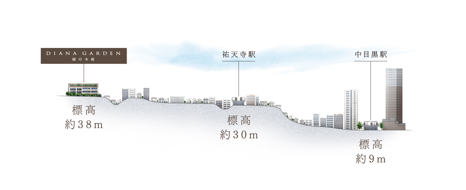 標高概念図