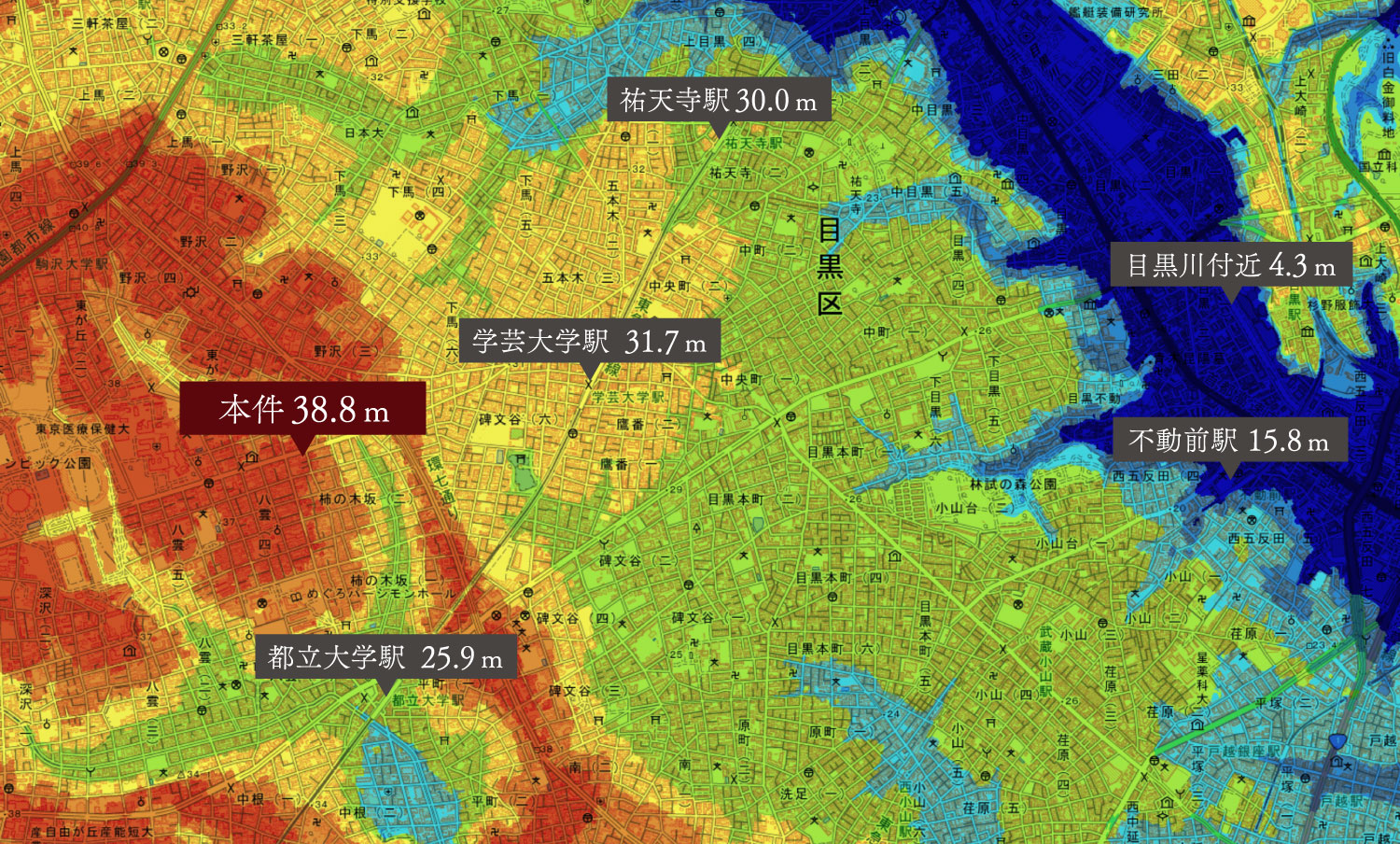 標高概念図