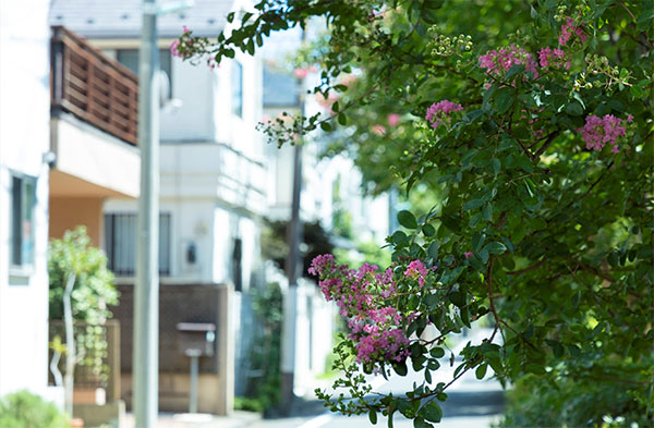 現地周辺の環境