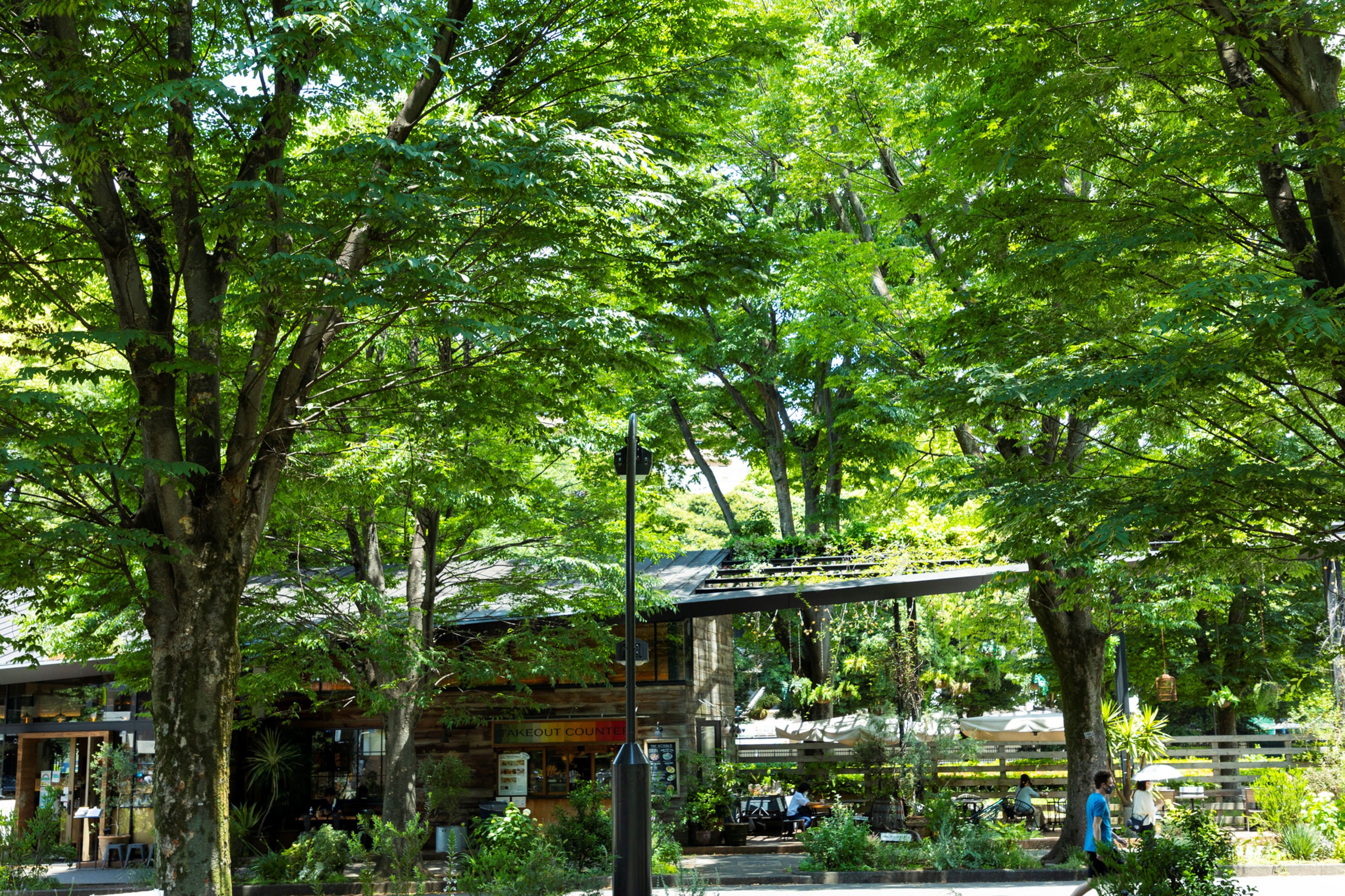 駒沢オリンピック公園（約790ｍ/徒歩10分）