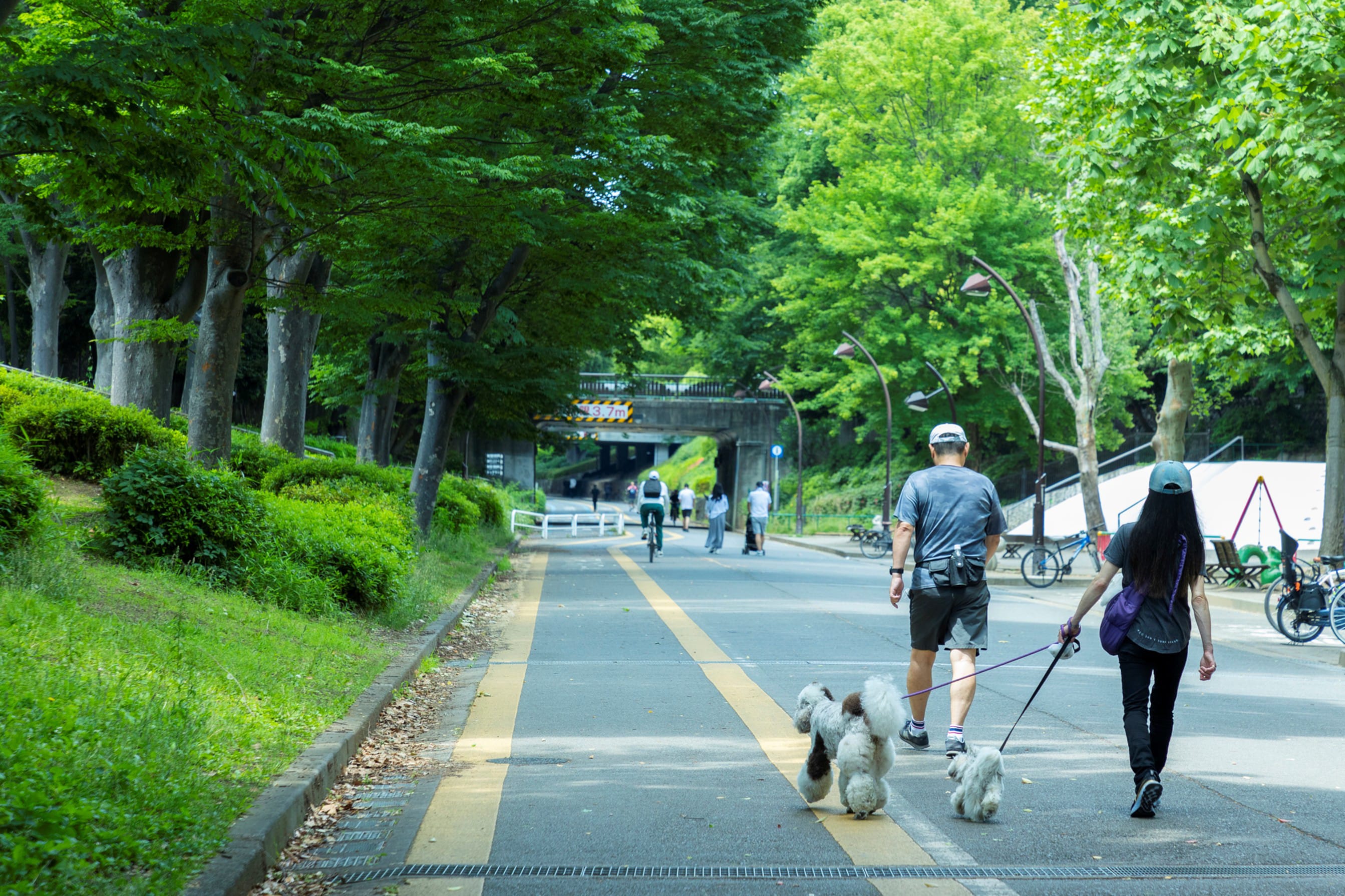 駒沢オリンピック公園（約790ｍ/徒歩10分）