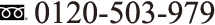 0120-503-979