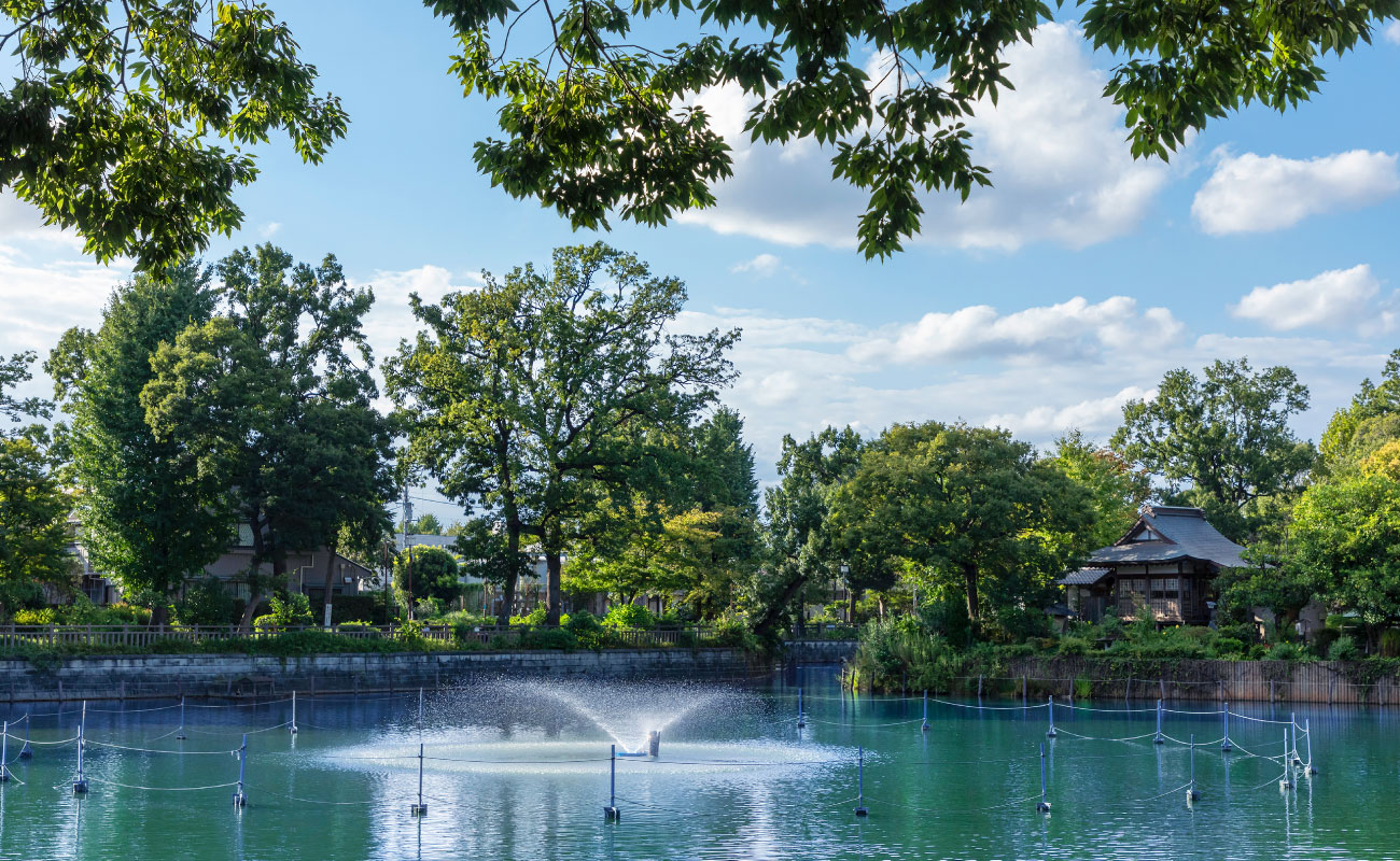 碑文谷公園