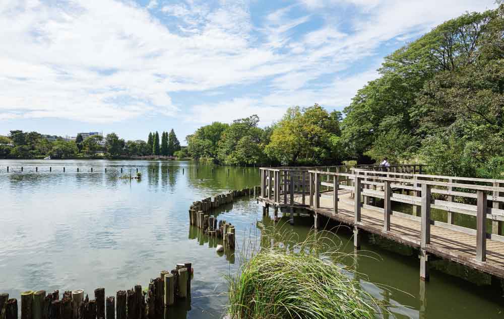 洗足池公園