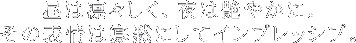 ͙zXA͉₩ɁB̕\͉ǖقɂăCvbVuB