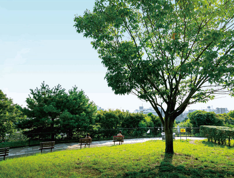 西郷山公園（徒歩8分・約600ｍ）