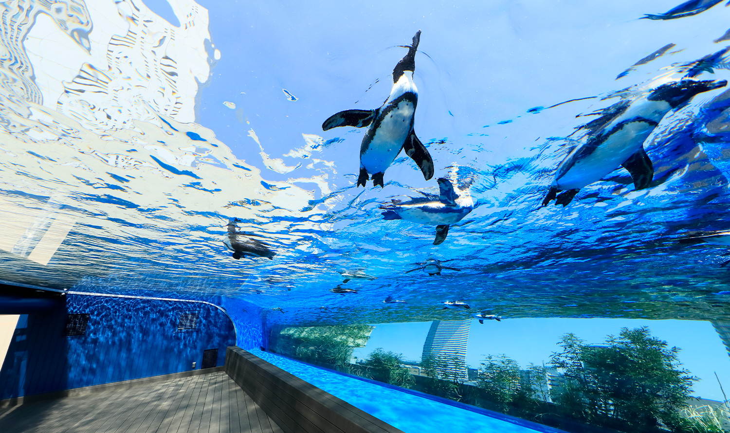 サンシャイン水族館