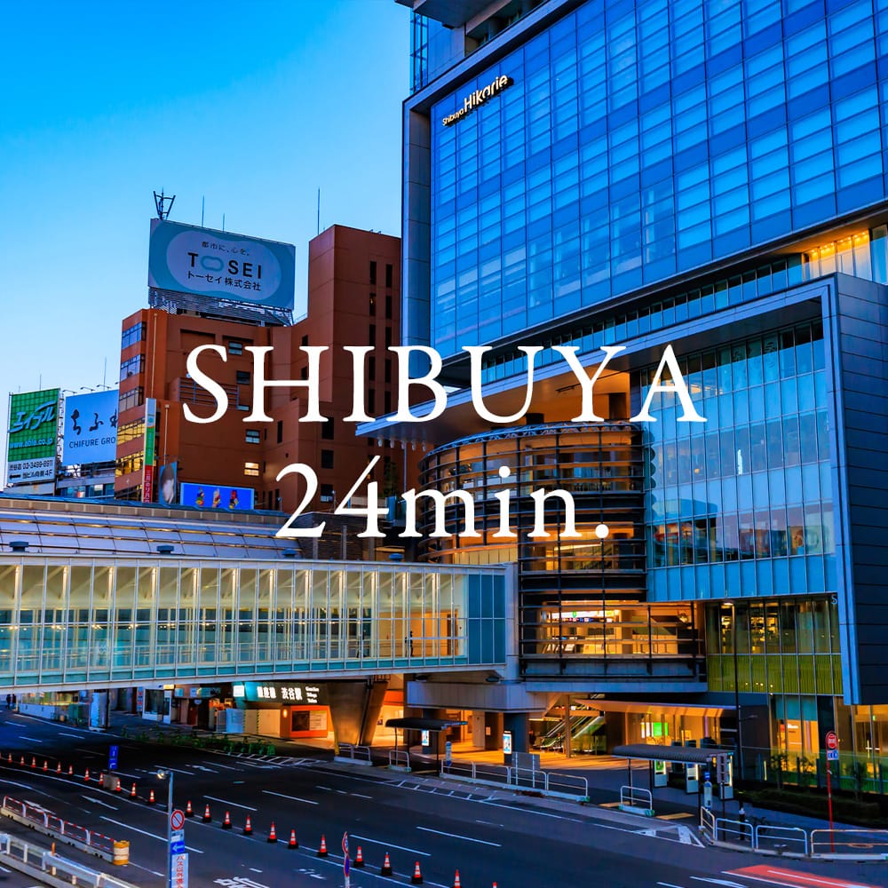 SHIBUYA 24min