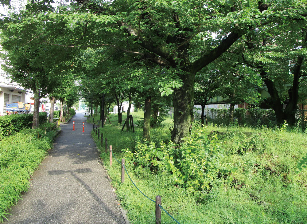 せせらぎの小路