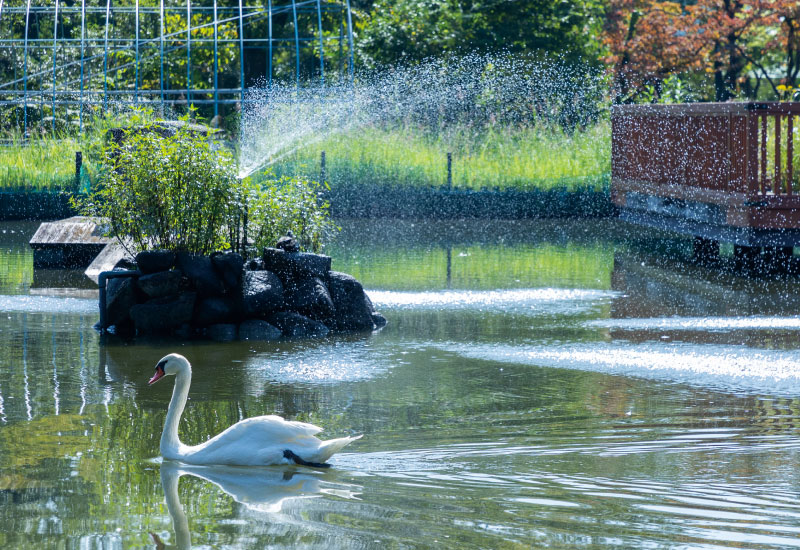 荒川自然公園