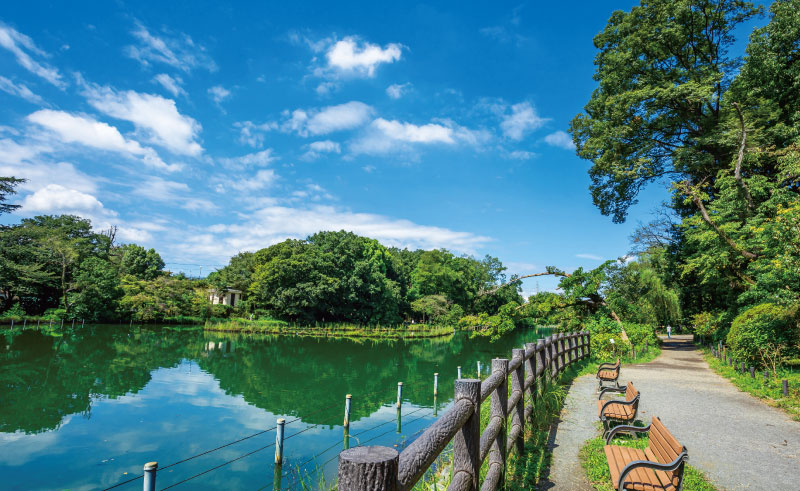 善福寺公園（約1,220m・徒歩16分）