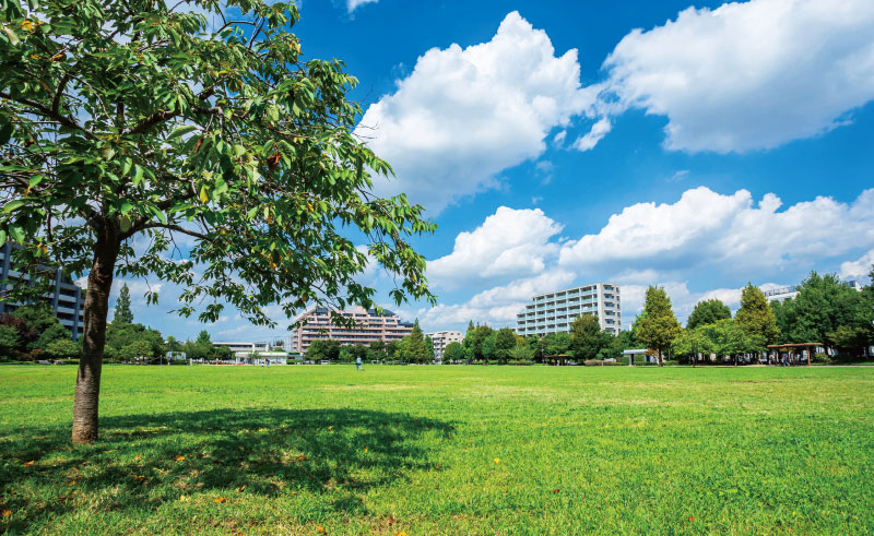 桃井原っぱ公園（約510m・徒歩7分）