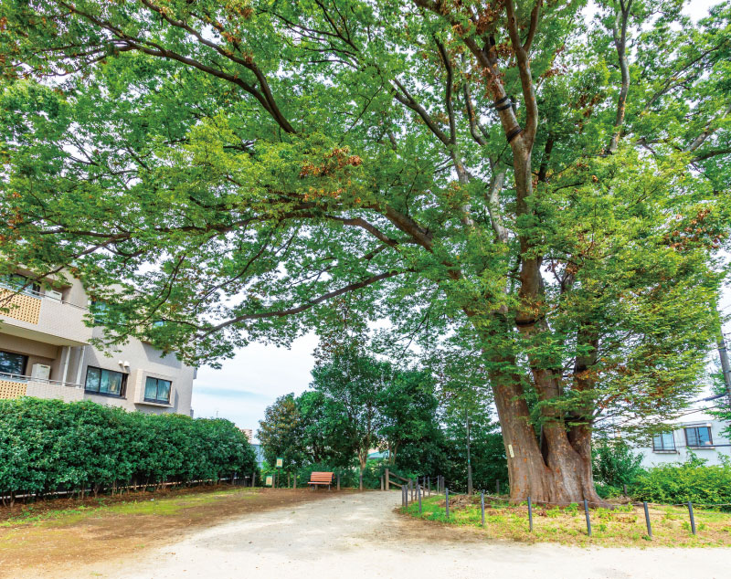 坂の上のけやき公園（約480m・徒歩6分）