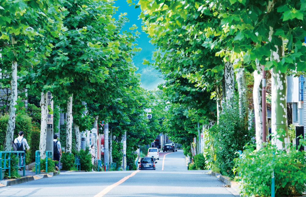 北銀座通り