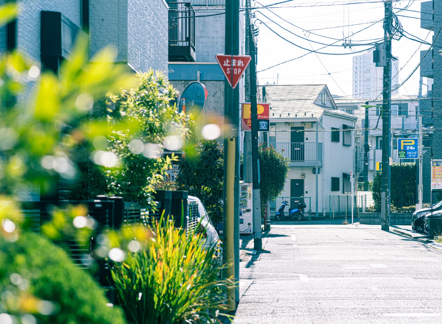現地周辺の町並み（徒歩3分/約210m）