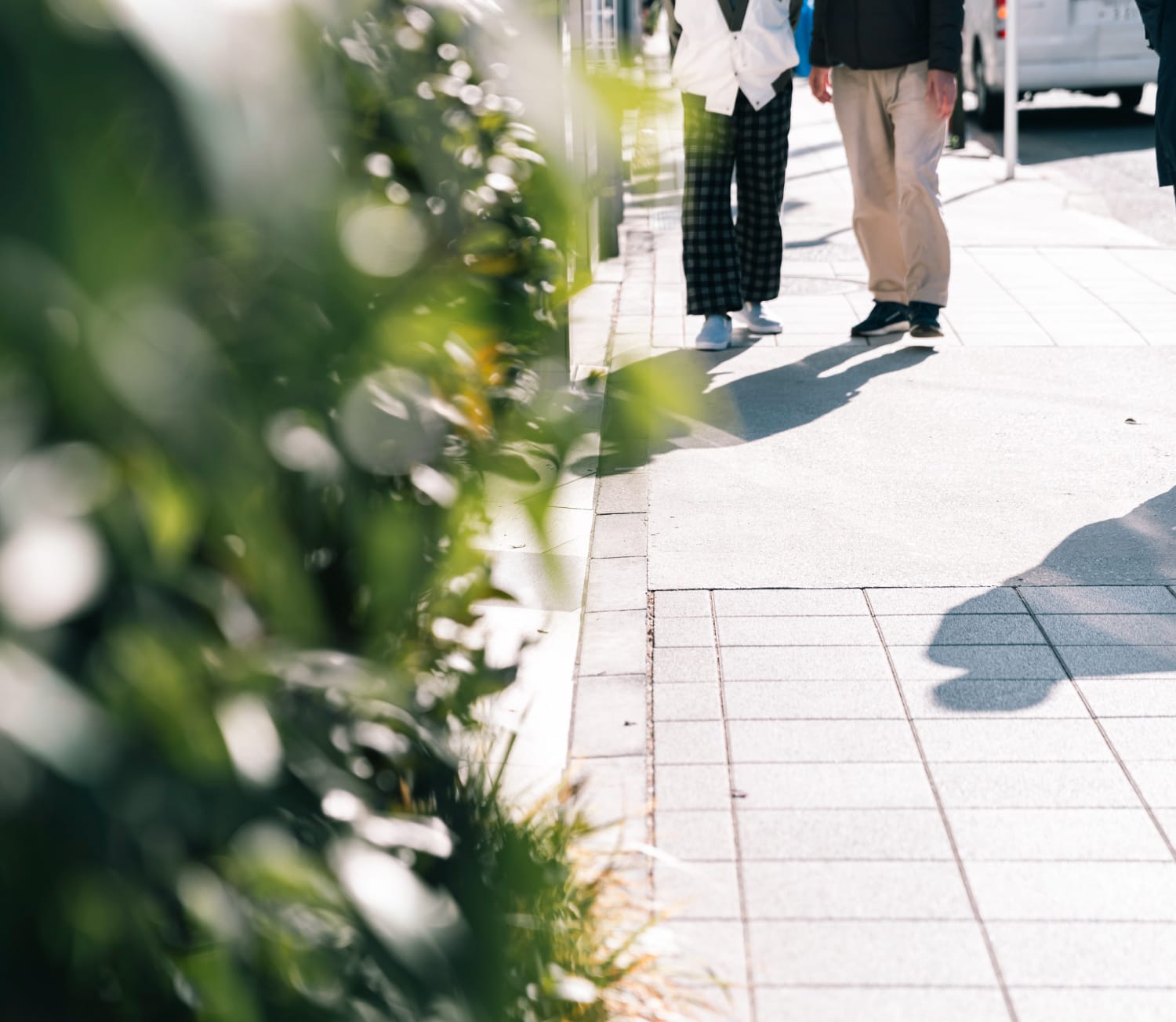 茶沢通り（徒歩9分/約700m）