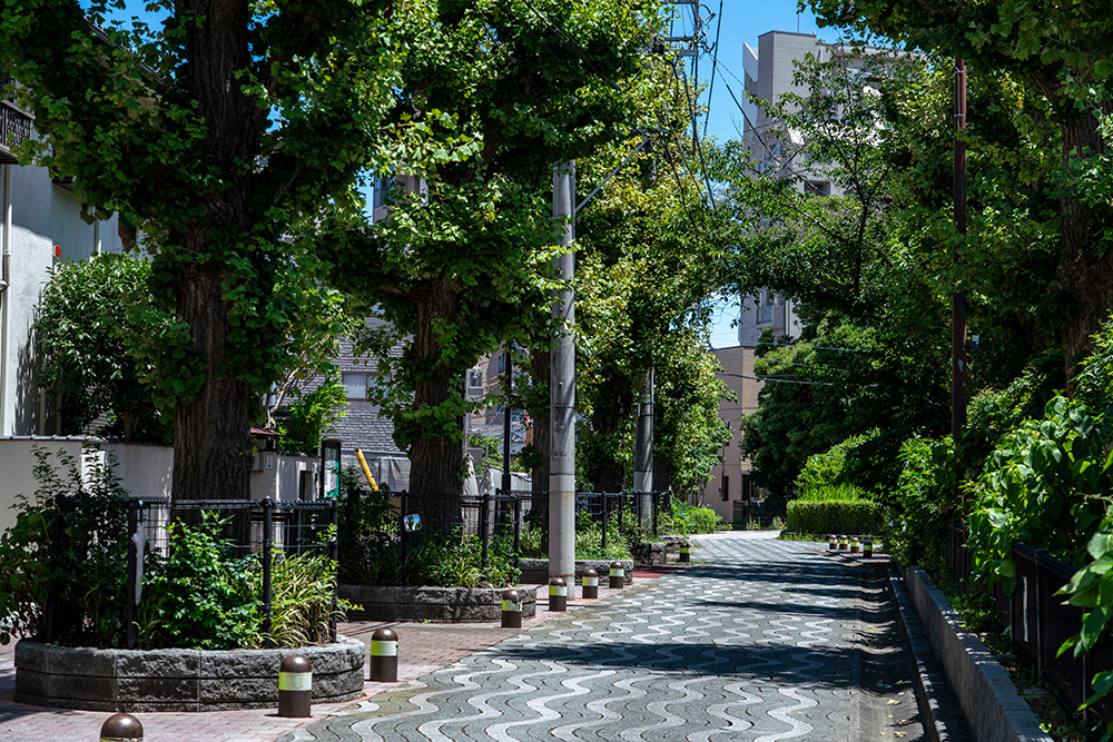 現地周辺の街並み（約30m・徒歩1分）