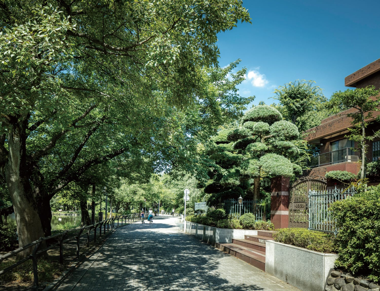 現地周辺の住宅街（徒歩6分/約450m）
