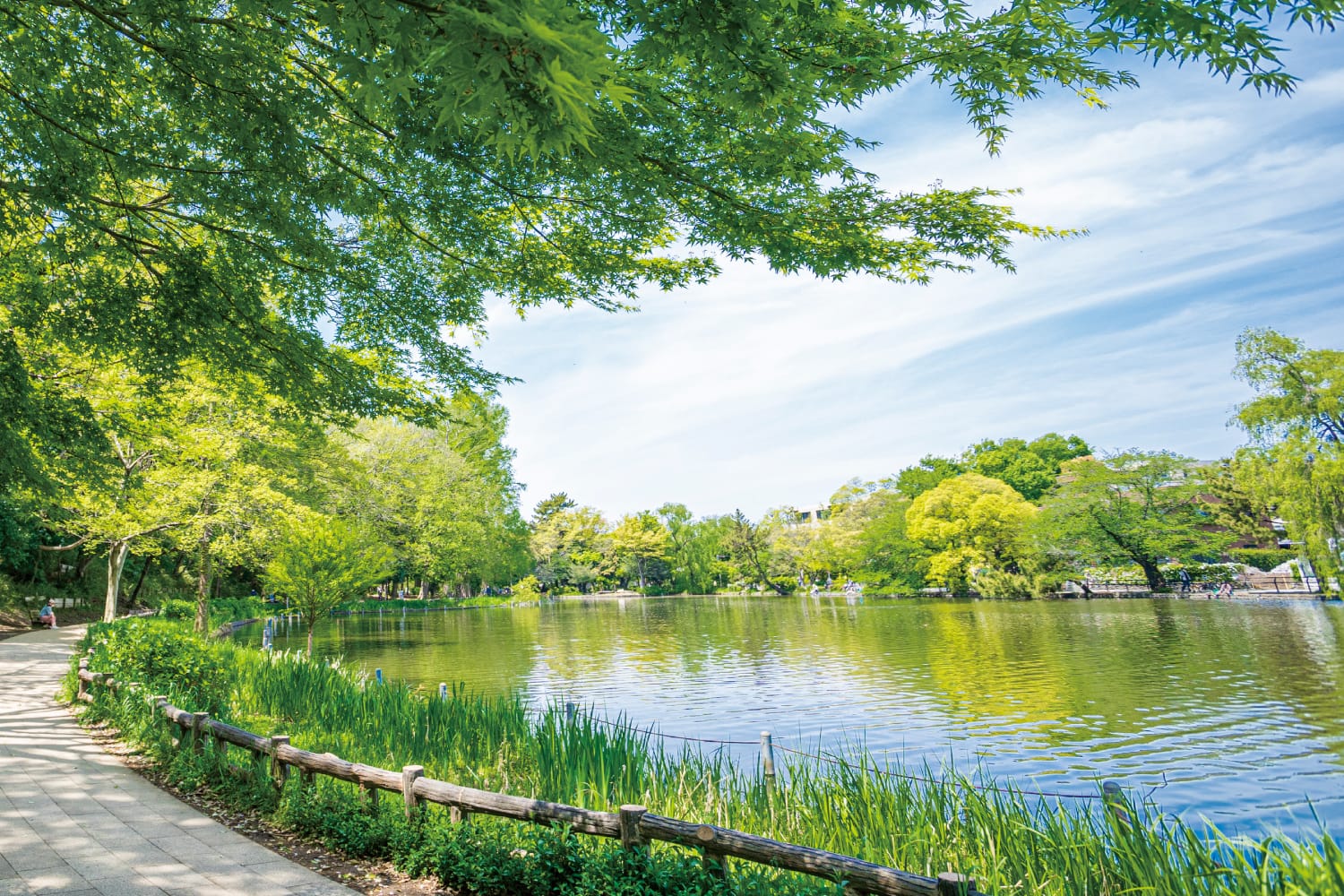石神井公園（約260m・徒歩4分）