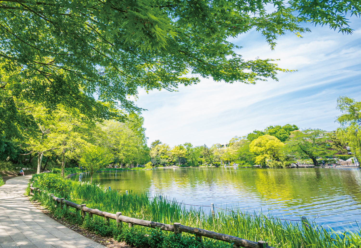 石神井公園