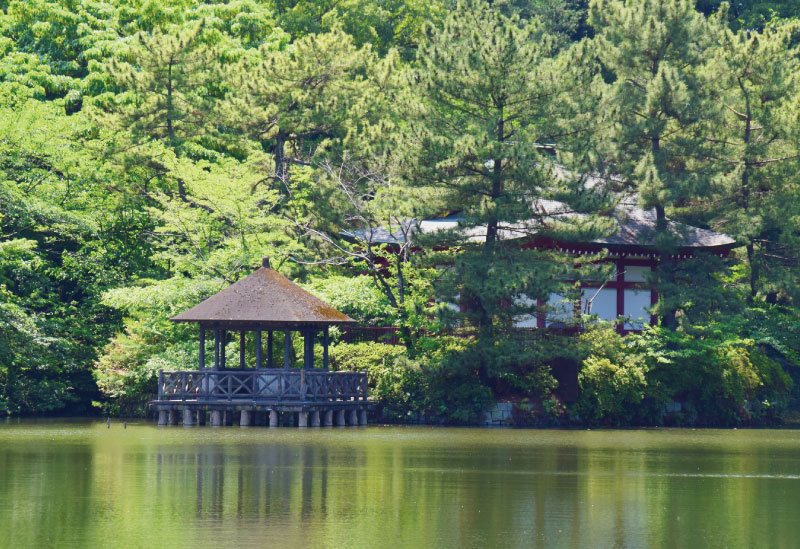 三宝寺池