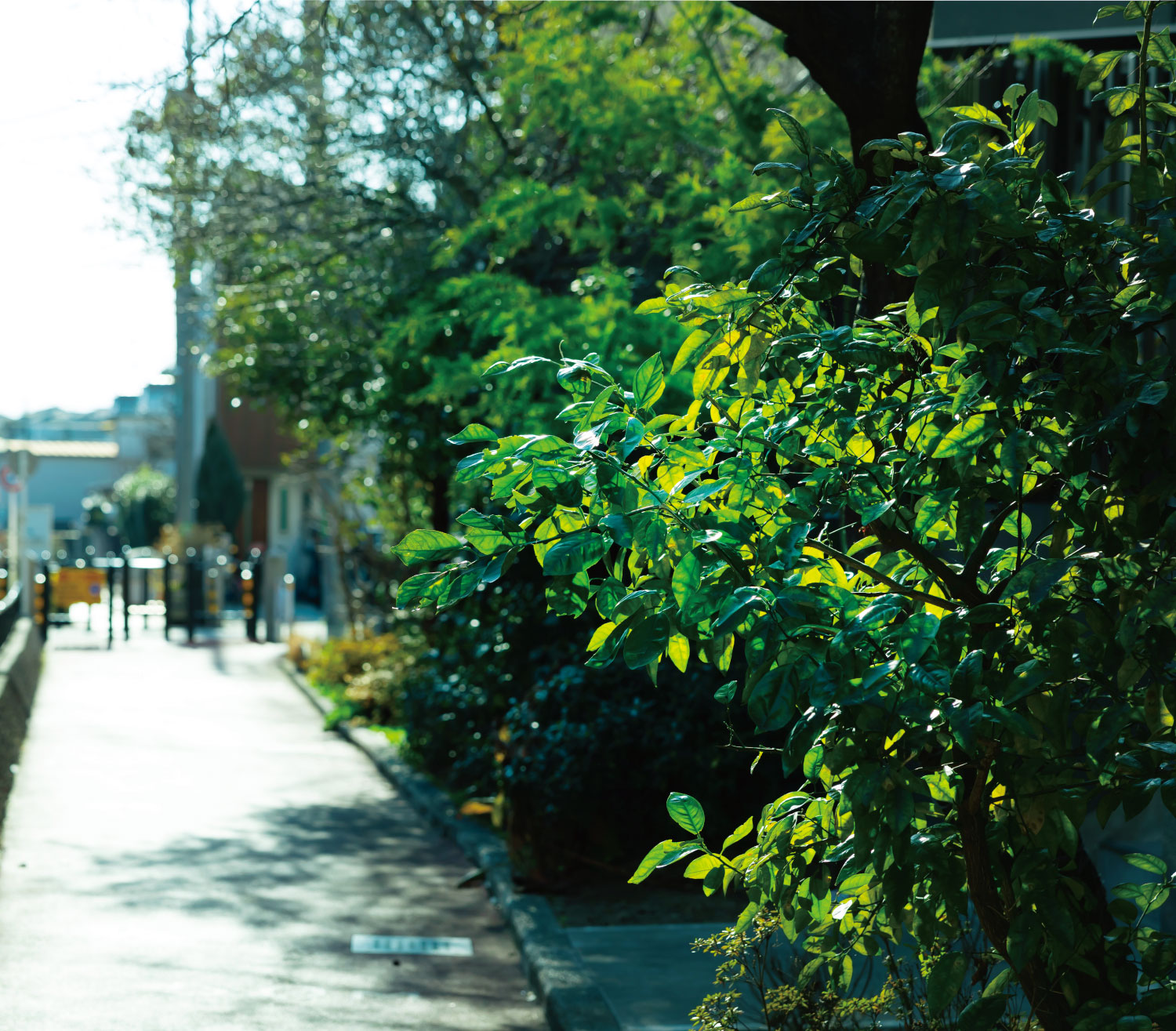 神田川支流遊歩道（約190m・徒歩3分）