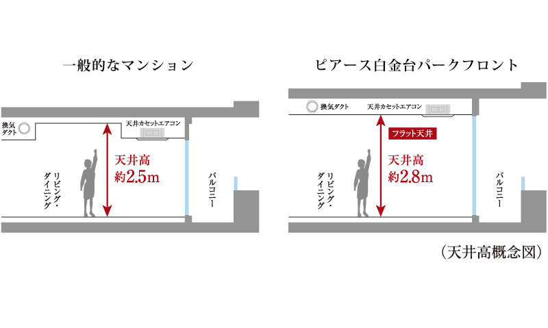 贅沢な階高の確保