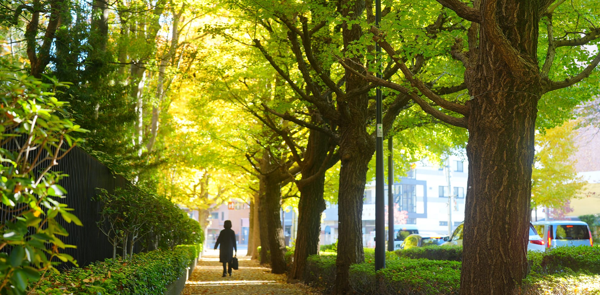 目黒通り（徒歩5分/約360m）