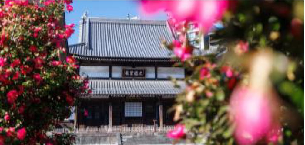 瑞聖寺（徒歩8分/約600m）