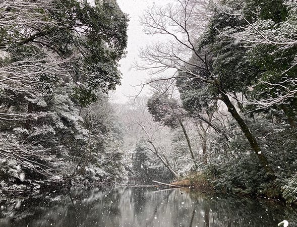 国立科学博物館附属自然教育園（徒歩4分/約290m）画像提供：国立科学博物館附属自然教育園