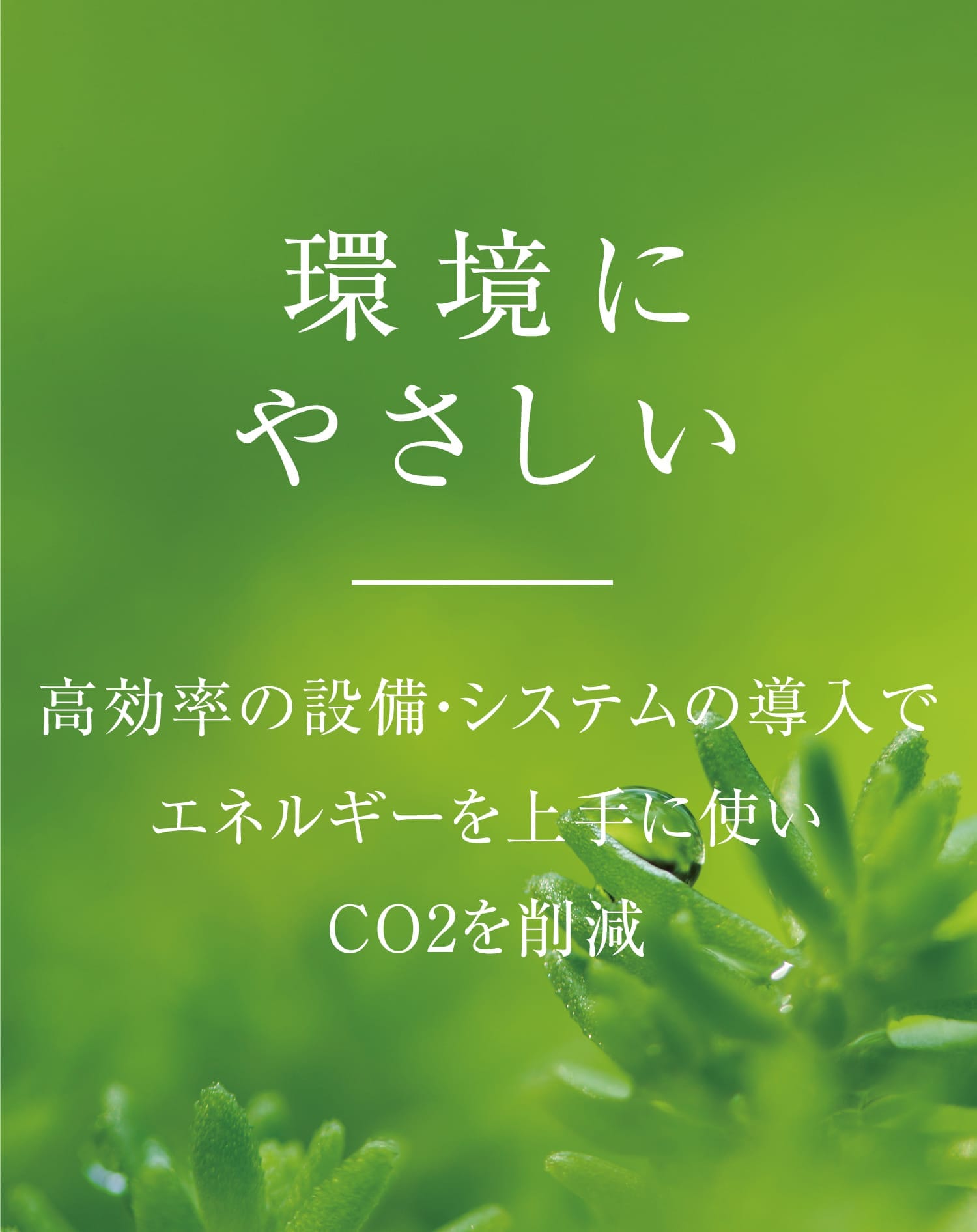 環境にやさしい