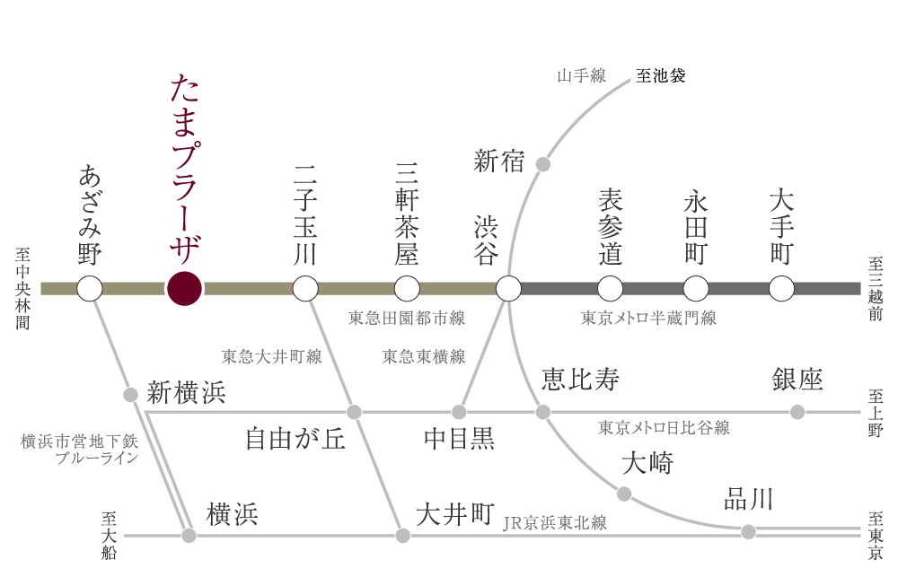 路線図